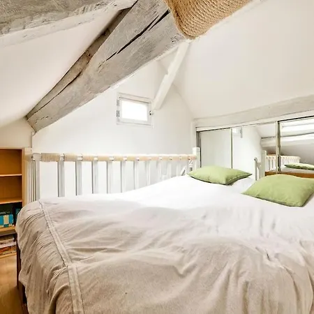 Stunning Duplex Near Place De La Nation Apartment Paris